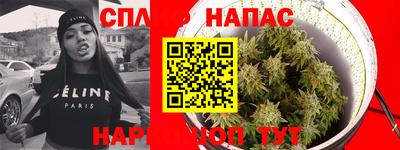 PSILOCYBIN Кулебаки